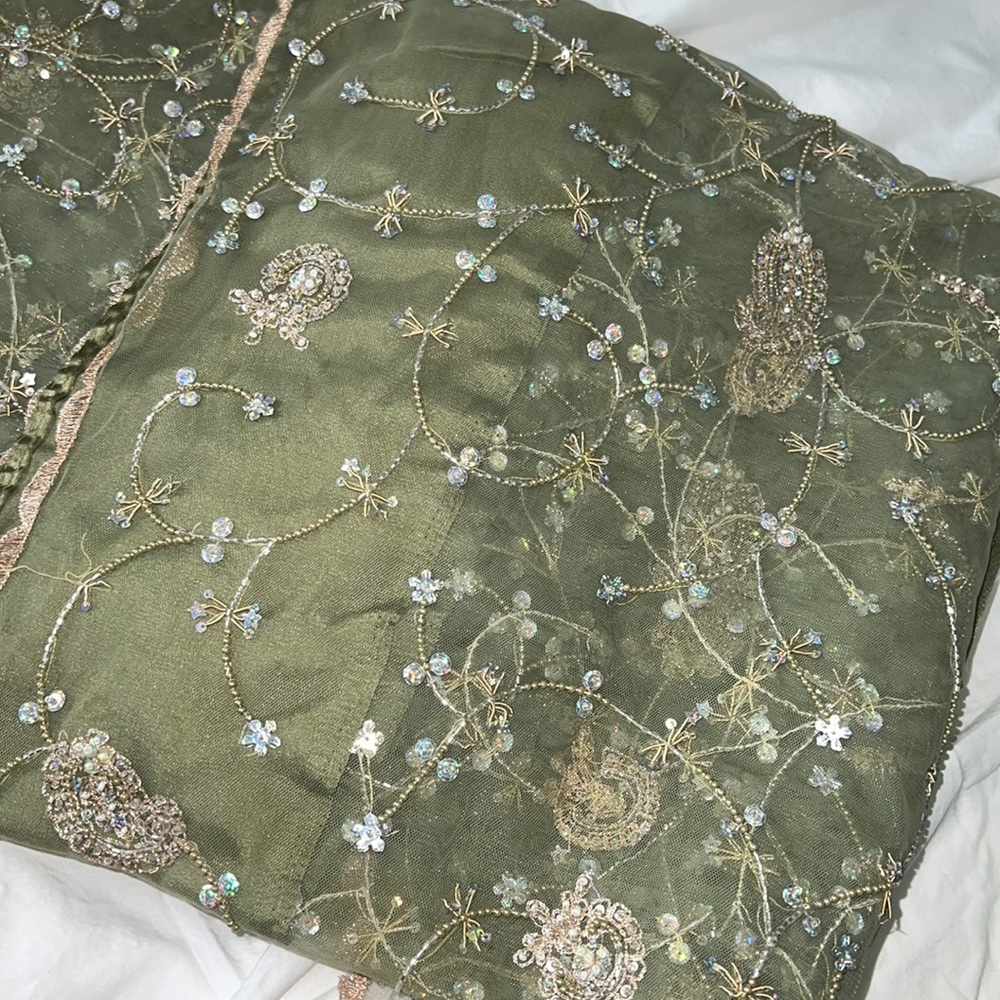 Beautiful olive green embroided heavy saree with silk petticoat